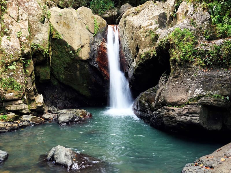 Bosque Nacional El Yunque-Puerto Rico