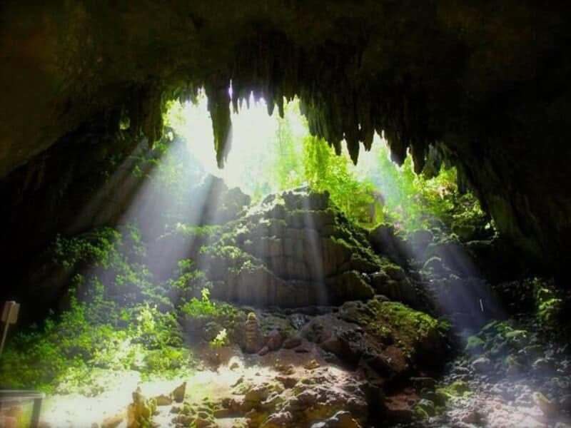 Parque Nacional Cavernas del Río Camuy